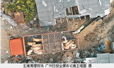 W020181207374416324083