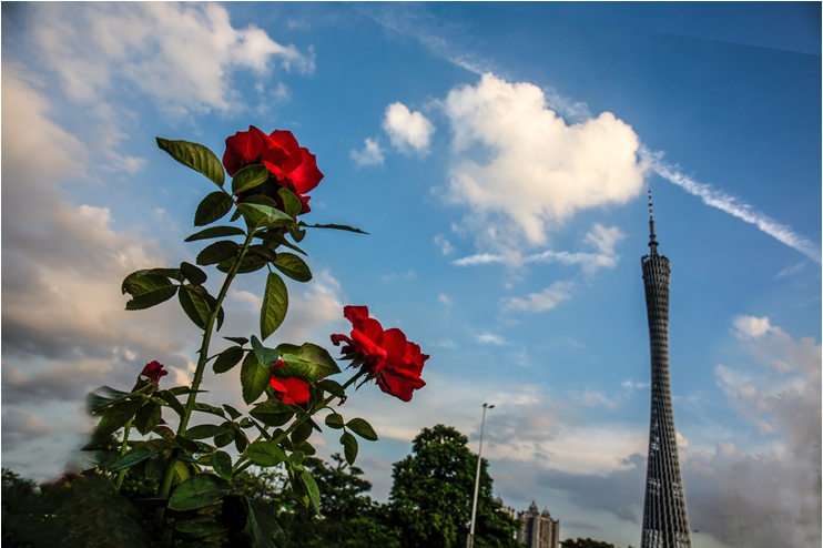 00283 花城廣場