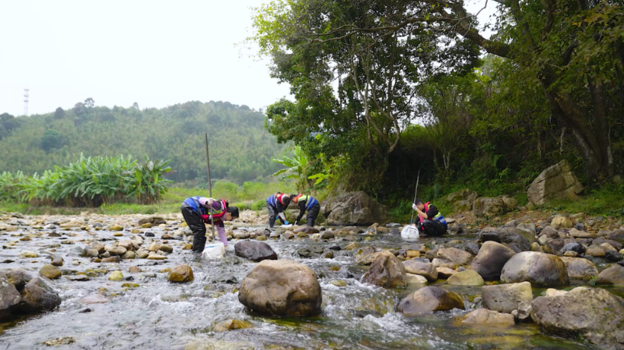 自動轉(zhuǎn)存圖片