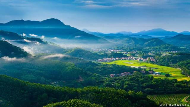 何瑜東/攝 何瑜東/攝