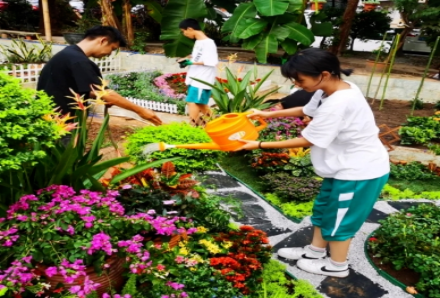 自動(dòng)轉(zhuǎn)存圖片