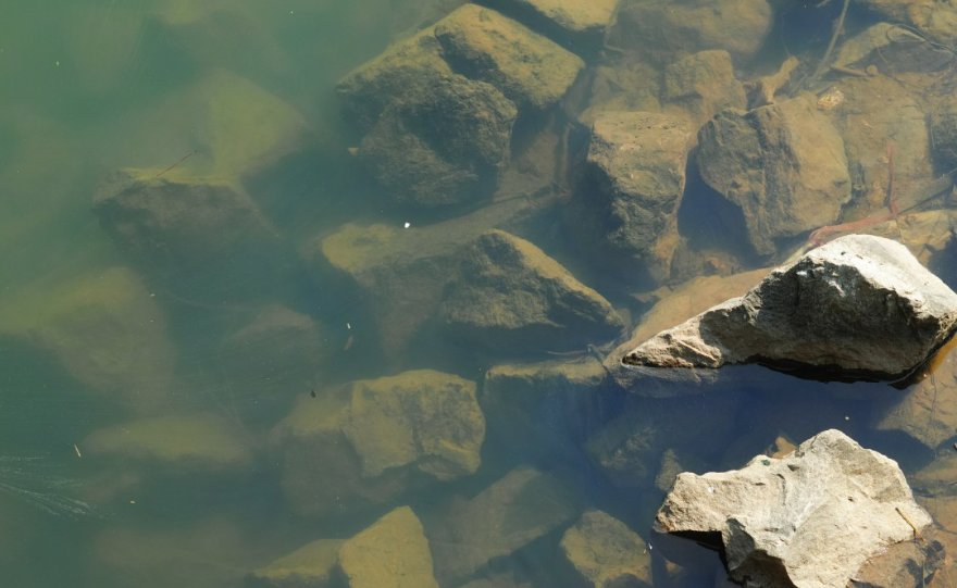 流溪河流域內(nèi)國考、省考斷面水質(zhì)持續(xù)實現(xiàn)全面達(dá)標(biāo),流溪河治理取得了顯著成效。