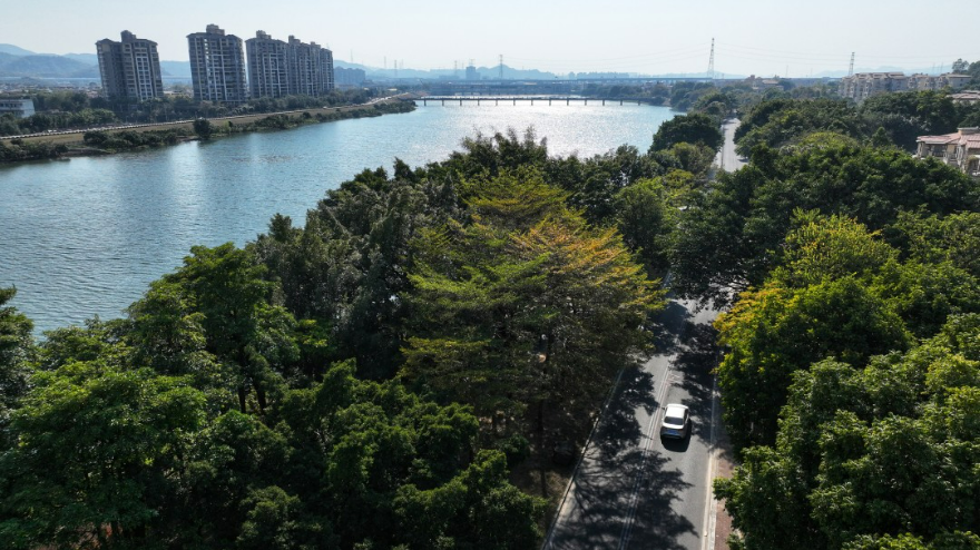 在美麗河湖建設(shè)領(lǐng)域,廣州流溪河入選了生態(tài)環(huán)境部美麗河湖優(yōu)秀案例。